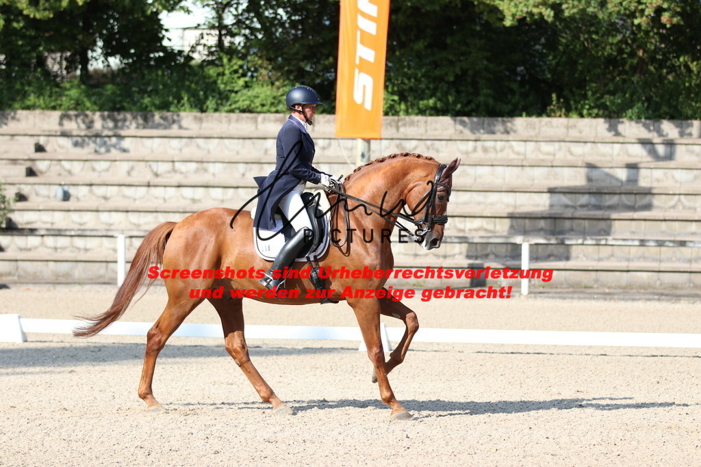 IMG_8908 | lmwpictures - Realisiert mit Pictrs.com