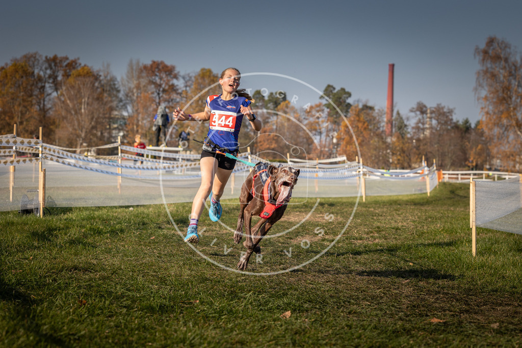 CaniXpix_0L8A9101 | Hundefotografie, Tierfotograf, Pfotenfotografie, Fotoshooting Hund, Hunde Portrait, Hundesport, Hundeportraits, Heideshooting, Hunde, Sportfotograf, Hundefotograf, Turnierhundsport, THS,  - Realisiert mit Pictrs.com