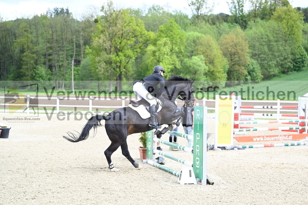 DSC_0717 | equestrian-live-com