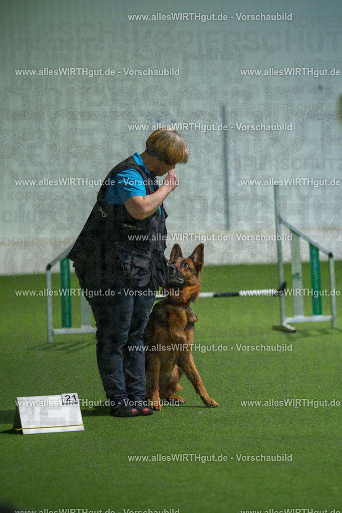 7R508017 | Professionelle Tierfotografie in Mönchengladbach von Daniel Wirth (allesWIRTHgut). Liebevolle & natürliche Bilder von Hunden & Katzen für unvergessliche Erinnerungen.
