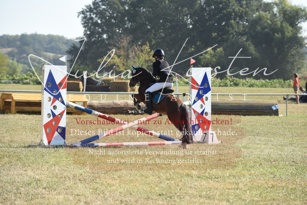 DSC_5945 | Pferde- und Turnierfotografie in Westsachsen. Pferdeportraits, Auftragszeichnungen und intuitive Kunst.