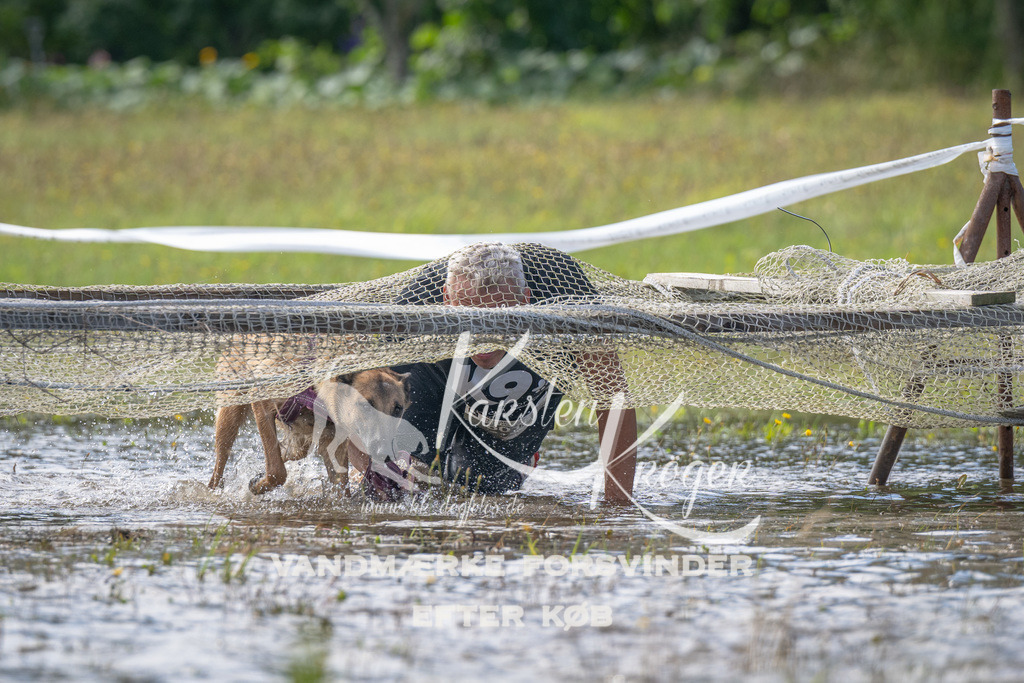 1150_ZZ90047 | kk-dogfotos