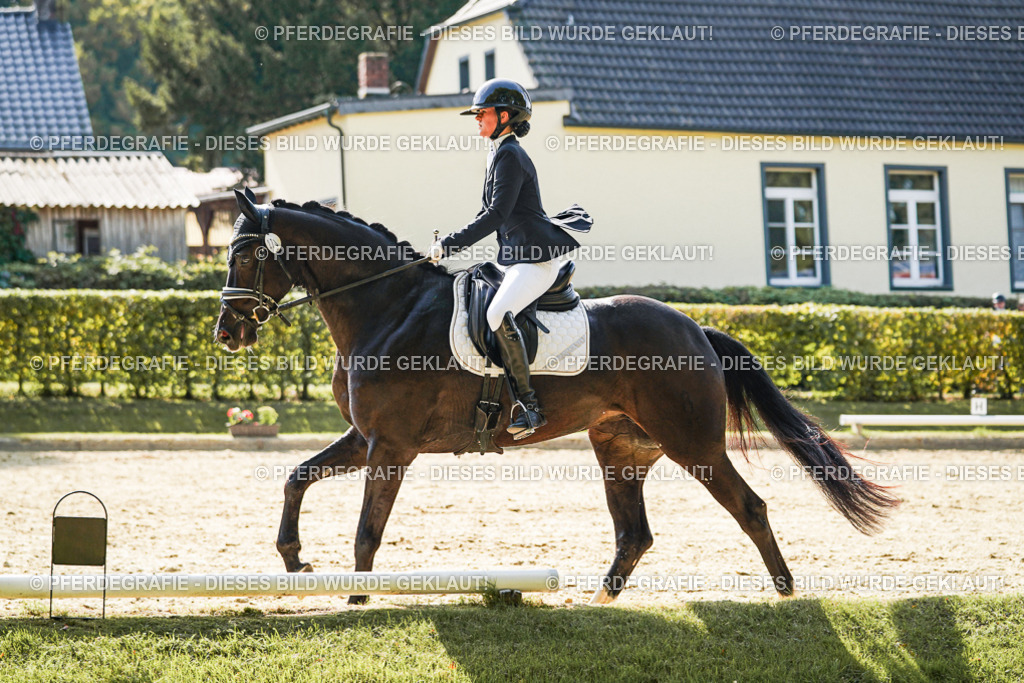 DSC08373 | Pferdegrafie