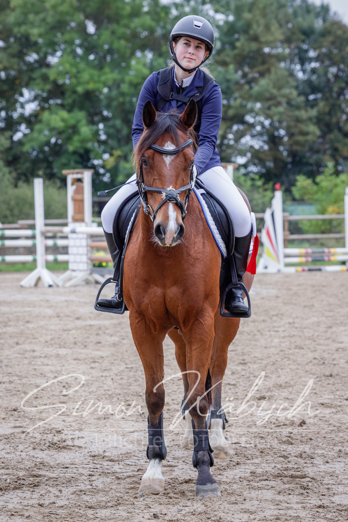 20251012-_3LI3089 | Tierfotografie Pferde, Hunde, Katzen, Haustiere.
Turnierfotografie Reitturniere, Reiten, Springreiten, Dressur in Hanau, dem Main-Kinzig-Kreis und dem Rhein-Main- Gebiet um Frankfurt