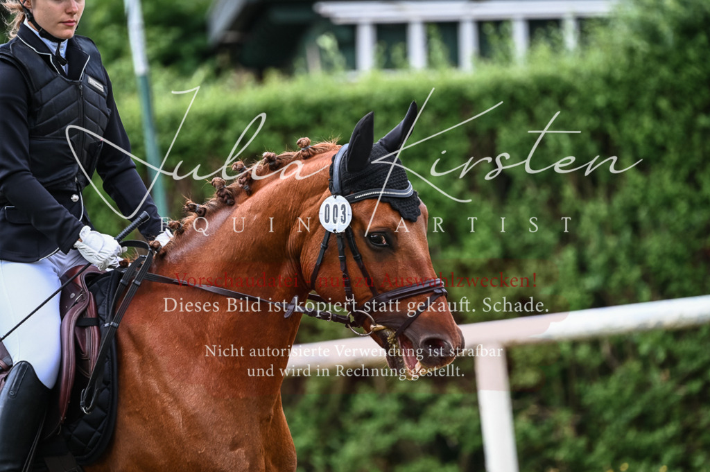 DSC_8186 | Pferde- und Turnierfotografie in Westsachsen. Pferdeportraits, Auftragszeichnungen und intuitive Kunst.