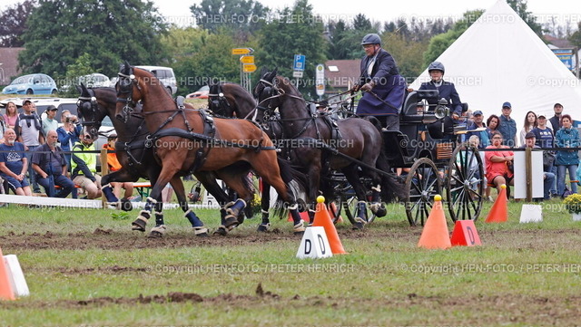 20240818-9123-reitsport-gespannfahren-HEN-FOTO | 18.08.2024 Reitsport Perdesport Deutsche Meisterschaften und Hessische Meisterschaften Gespannfahren in Herchenrode hier Kegelfahren für Vierspänner Pferde Klasse S Georg von Stein (RFV Modautal) 2. Platz Deutscher Vizemeister (Foto: Peter Henrich) - Realisiert mit Pictrs.com