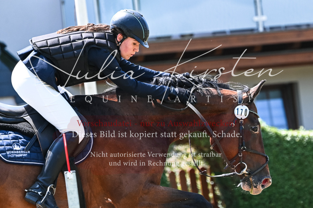 DSC_9980 | Pferde- und Turnierfotografie in Westsachsen. Pferdeportraits, Auftragszeichnungen und intuitive Kunst.