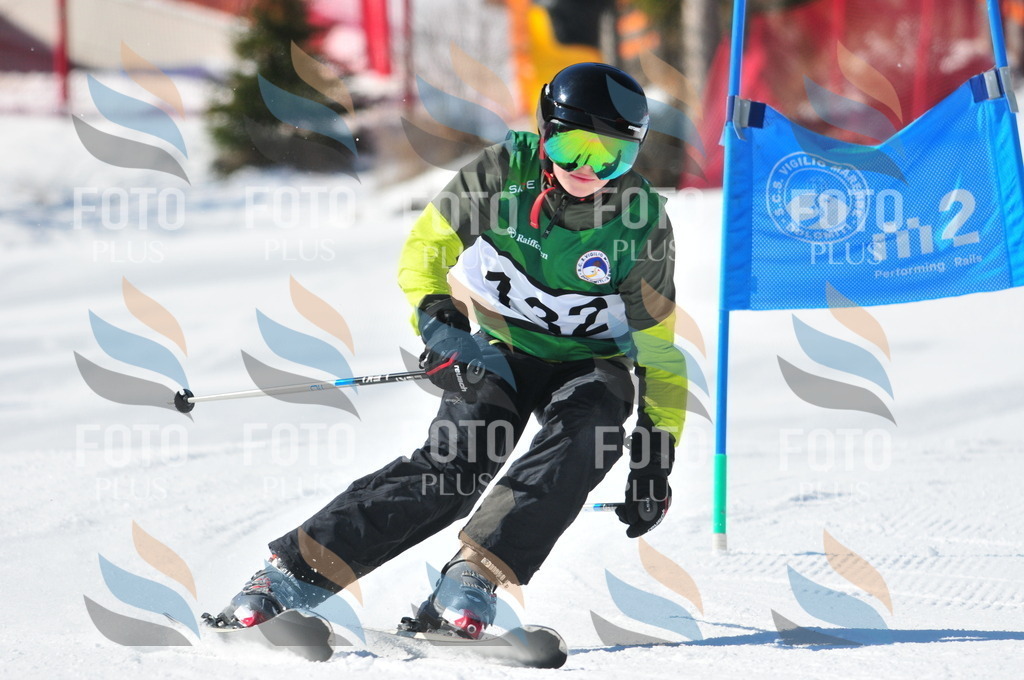 C3865 | holidayphoto