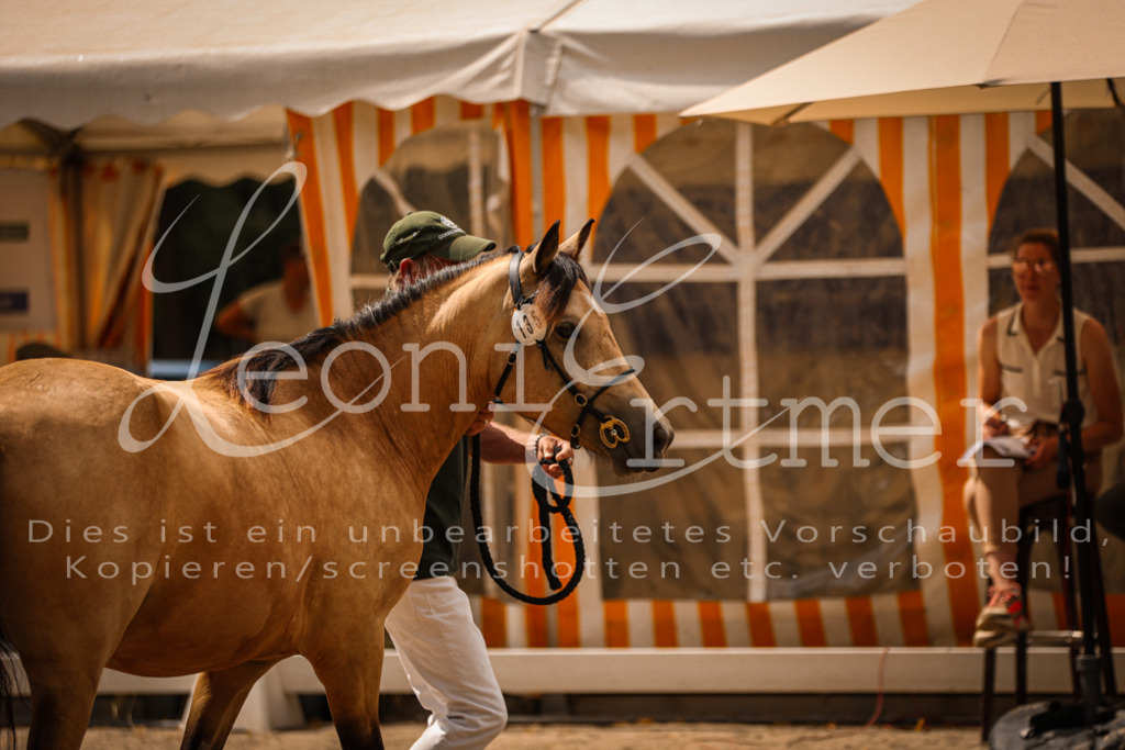 04.So00060 | Leoni Ertmer Photography - Realisiert mit Pictrs.com