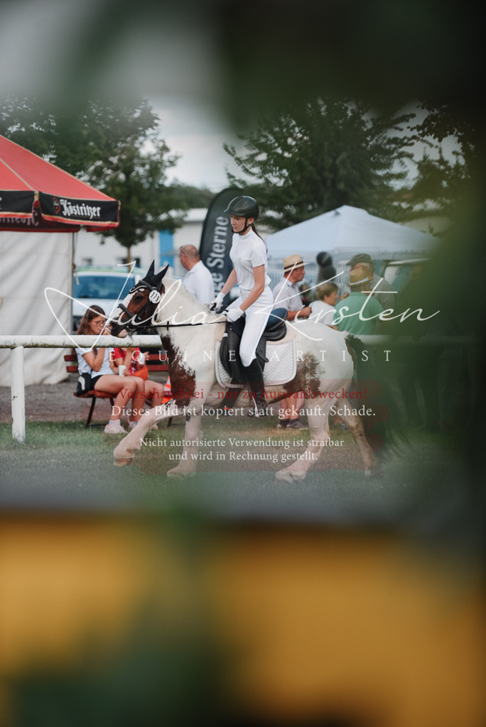 DSC_5610 | Pferde- und Turnierfotografie in Westsachsen. Pferdeportraits, Auftragszeichnungen und intuitive Kunst.