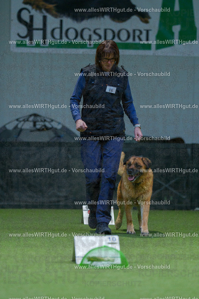 7R500646 | Professionelle Tierfotografie in Mönchengladbach von Daniel Wirth (allesWIRTHgut). Liebevolle & natürliche Bilder von Hunden & Katzen für unvergessliche Erinnerungen.