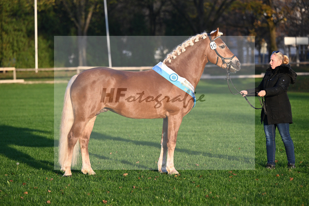Kat-Nr. 10 Napoleon Bonaparte_Blum_44241218 | hf-fotografie - Realisiert mit Pictrs.com