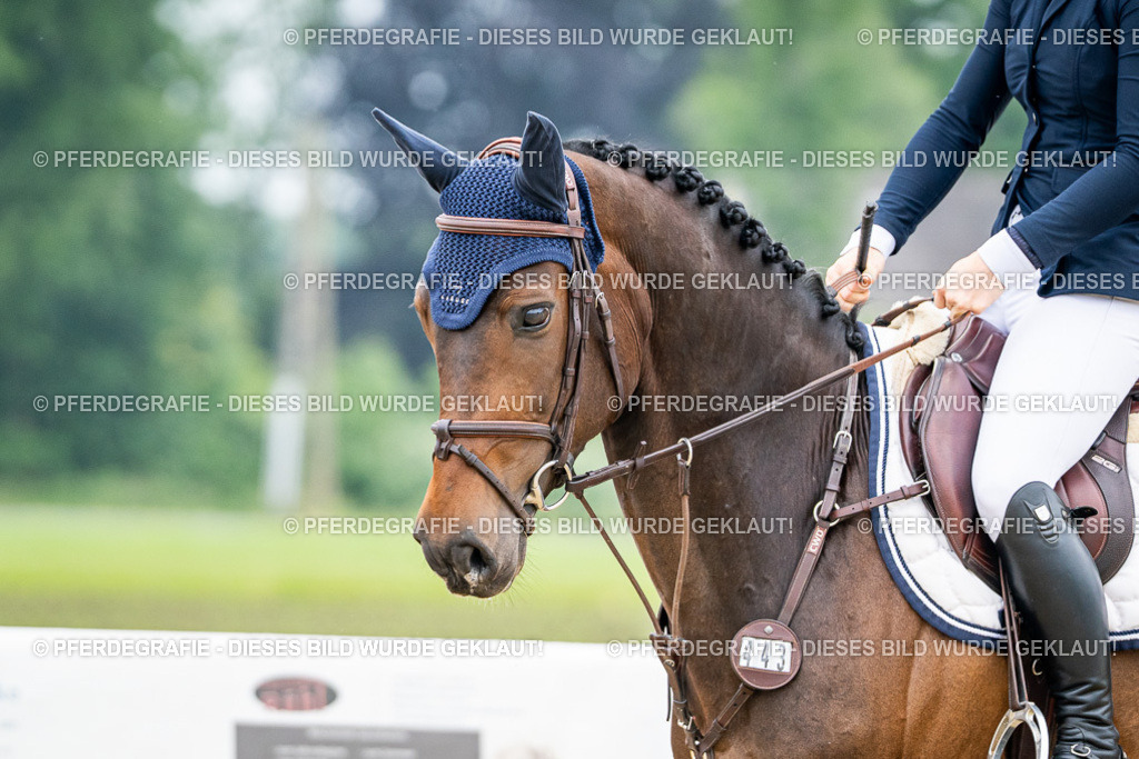 DSC00096 | Pferdegrafie