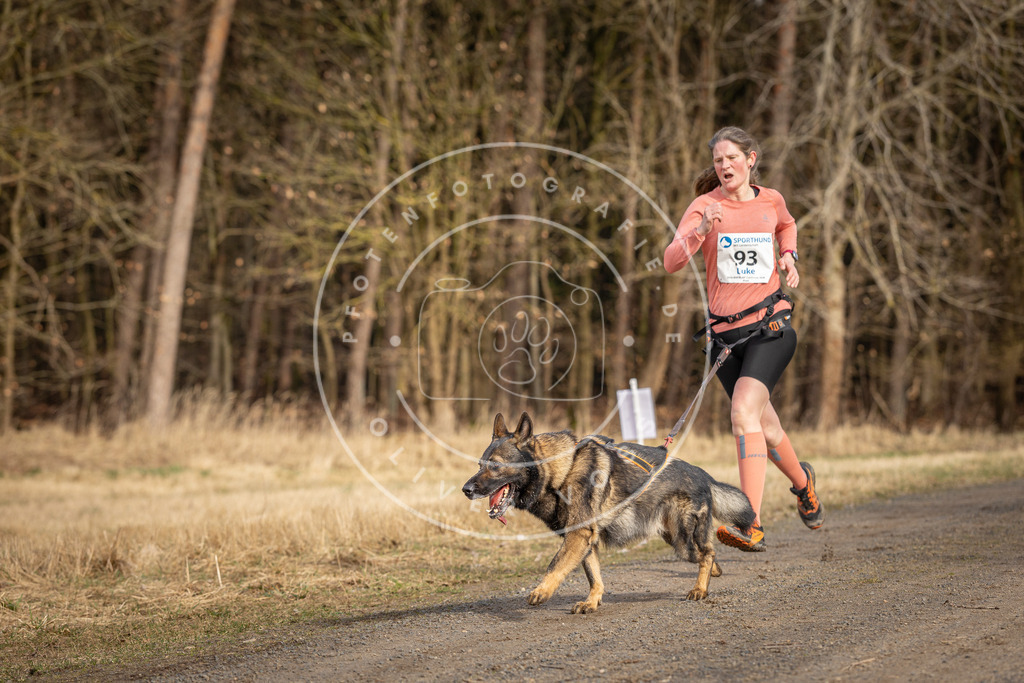 DV3A3996 | Hundefotografie, Tierfotograf, Pfotenfotografie, Fotoshooting Hund, Hunde Portrait, Hundesport, Hundeportraits, Heideshooting, Hunde, Sportfotograf, Hundefotograf, Turnierhundsport, THS,  - Realisiert mit Pictrs.com