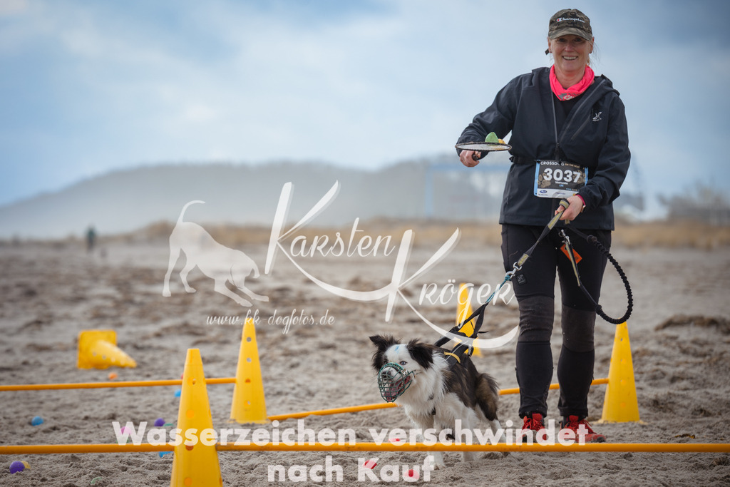 1206_ZZ94077 | kk-dogfotos