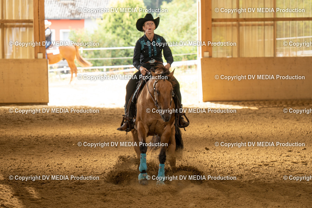 LAU01637 | dv-media-shop - Realisiert mit Pictrs.com