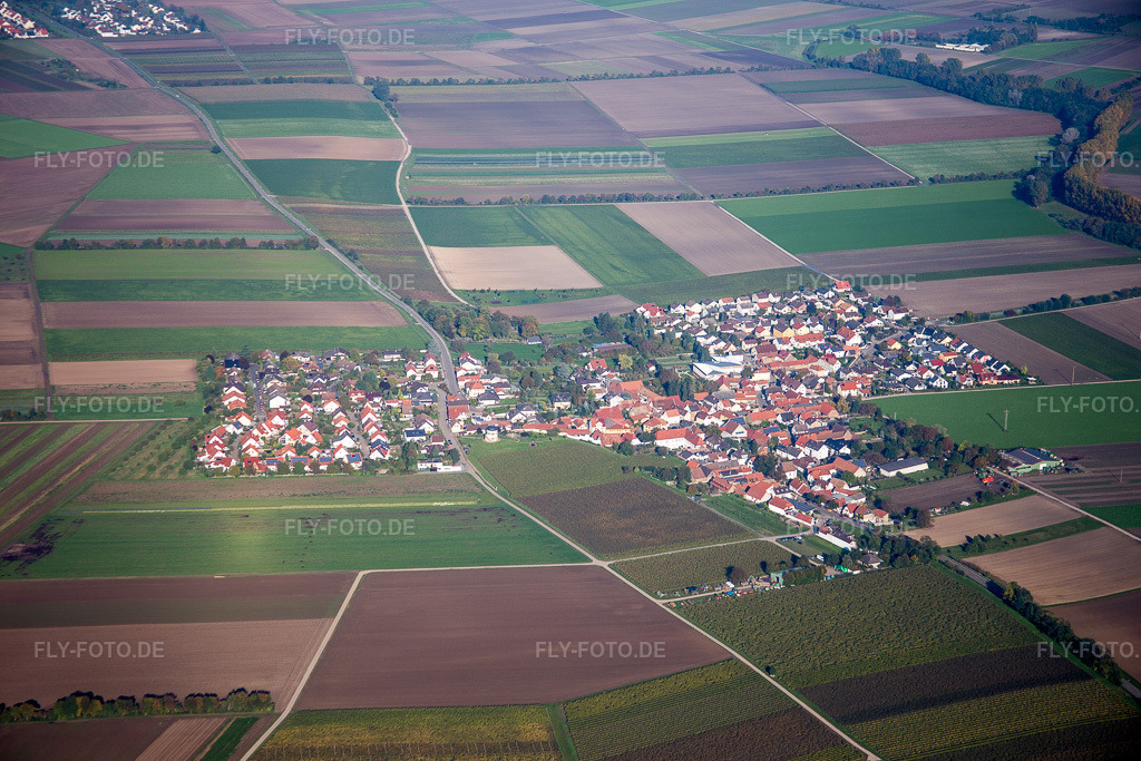 Luftbild: landwirtschaftlichen Feldern und Nutzflächen in Kleinniedesheim im Bundesland Rheinland-Pfalz in Deutschland. Foto: IMG_074846.jpg vom 18.10.2014 durch Werner Riehm/FLY-FOTO.de
