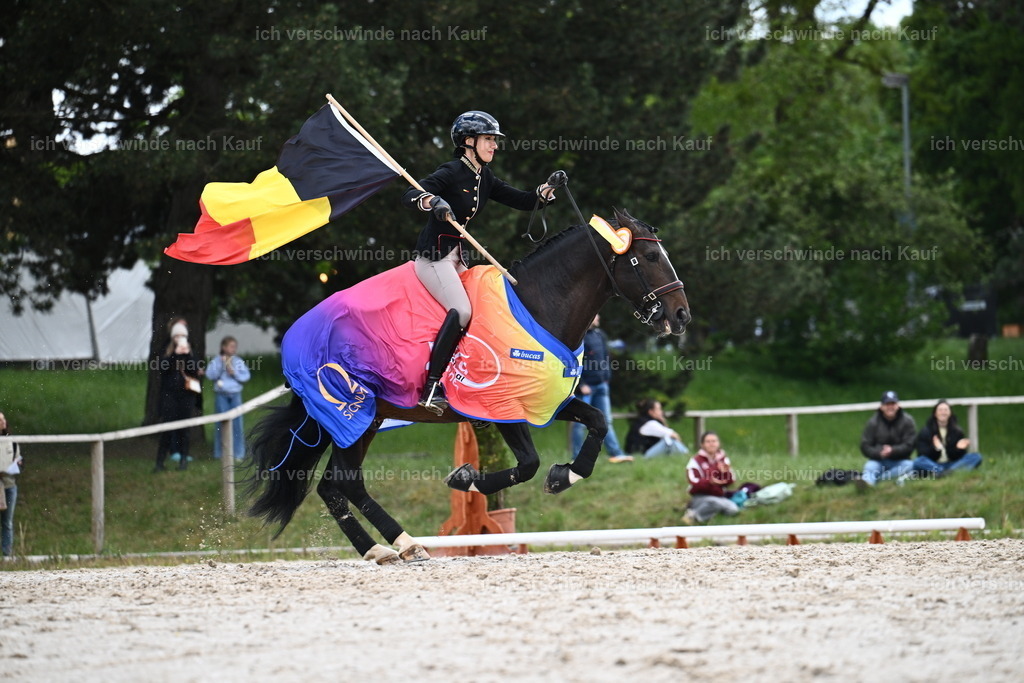 PI26_GesamtSEhrung_Sara_Landvogt_226_6299.JPG | working equitationturnier fotograf videograf stoibphotography marixx film working equitation deutschland reitsport turnierfotografie eventfotografie equestrian events