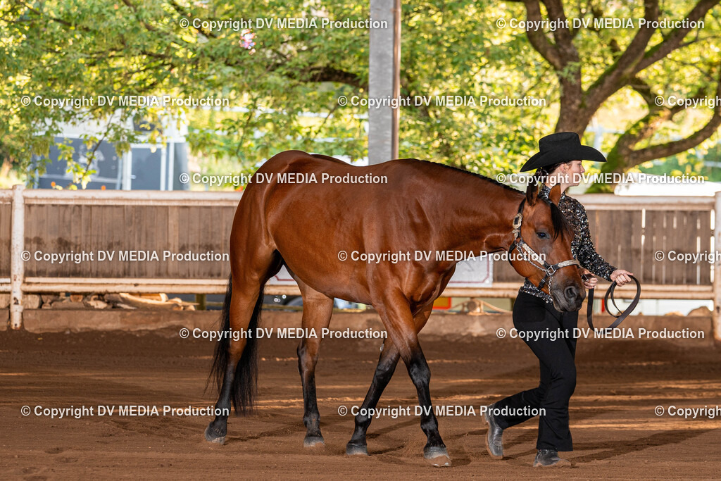 Erbach Tag 3-67 | dv-media-shop - Realisiert mit Pictrs.com