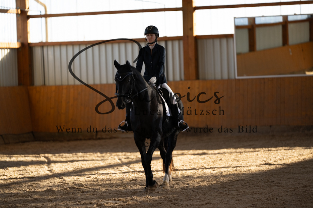 A7V01612 | Turnier/Reitfotograf