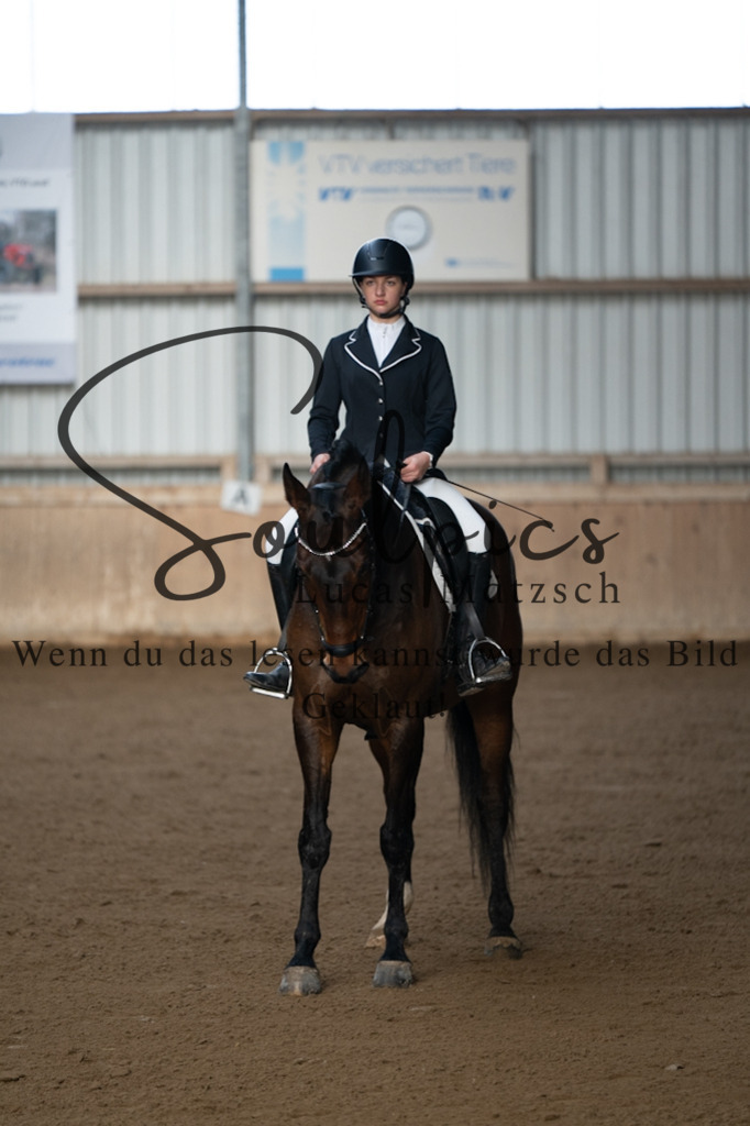 A7V05194 | Pferdefotograf