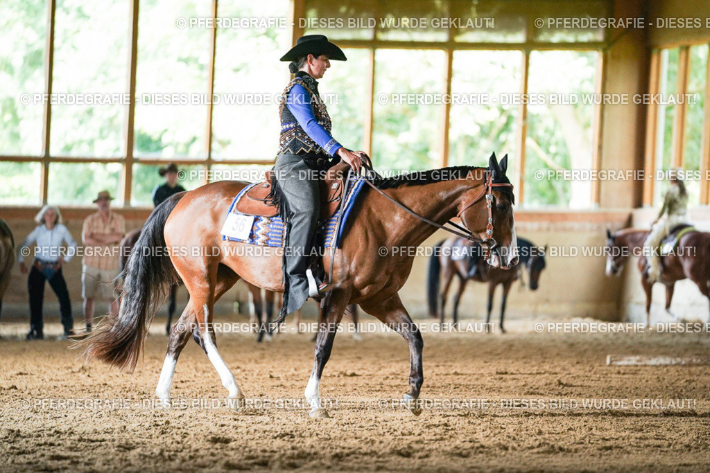 DSC05648 | Pferdegrafie