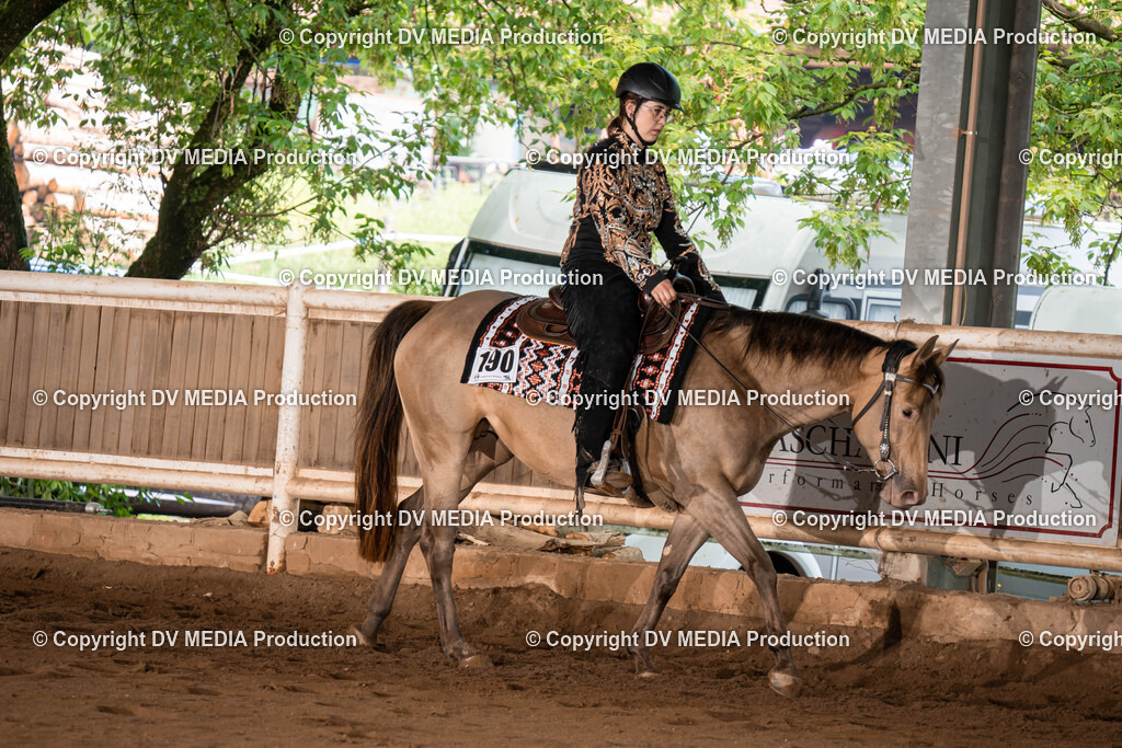 Erbach Tag 1-241 | dv-media-shop - Realisiert mit Pictrs.com