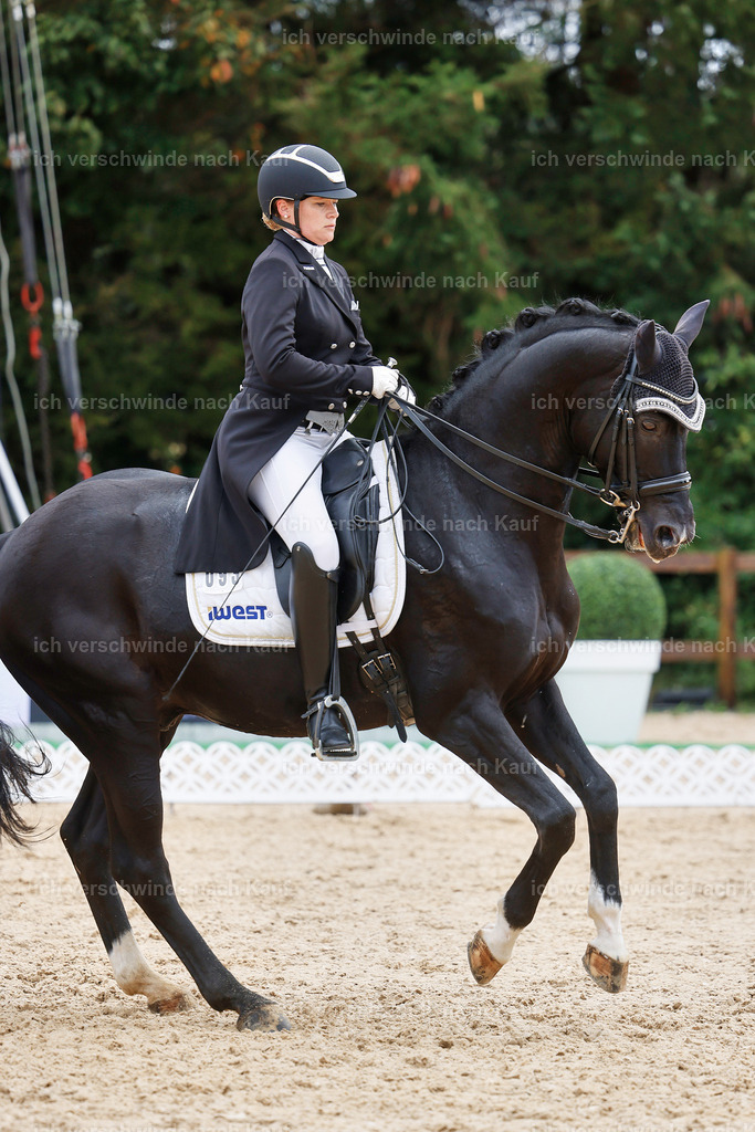 07-093-DRESSUR  S___  -StoibPH-5032 | working equitationturnier fotograf videograf stoibphotography marixx film working equitation deutschland reitsport turnierfotografie eventfotografie equestrian events