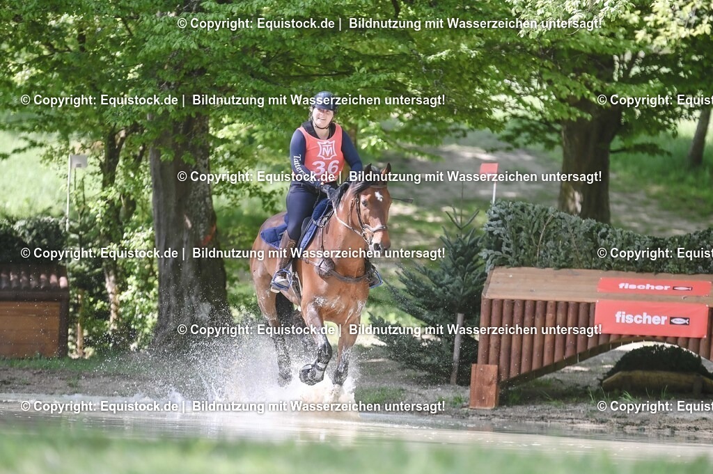 20250517_CCI2_Gelände_0934 | Foto: Thomas Hartig