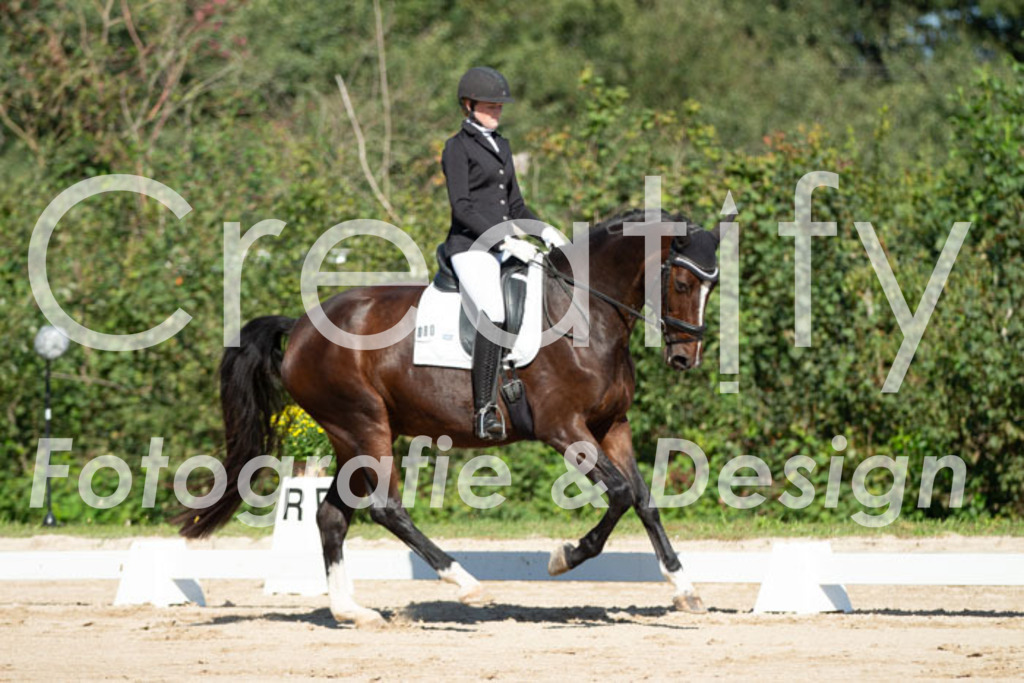 IMG_4972 | Creatify Fotografie