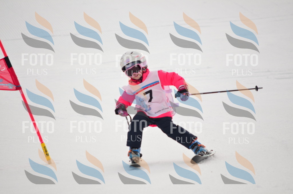 B9732 | holidayphoto