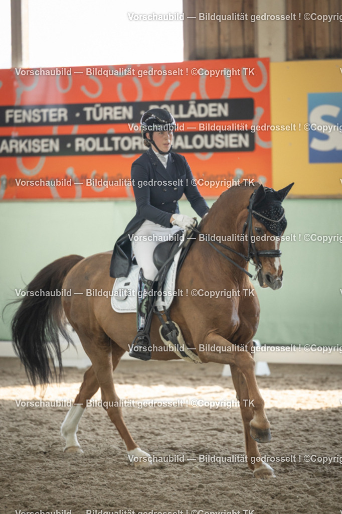 _D5A2454 | Emotionale Pferde- & People-Fotografie rund um Heidelberg, Leimen & Umgebung. Natürliche Fotos von Pferd, Mensch & Familie. Jetzt Termin sichern!