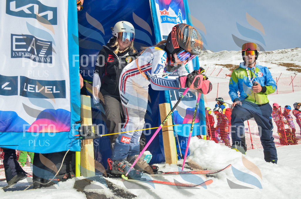 _ELE4676 | holidayphoto