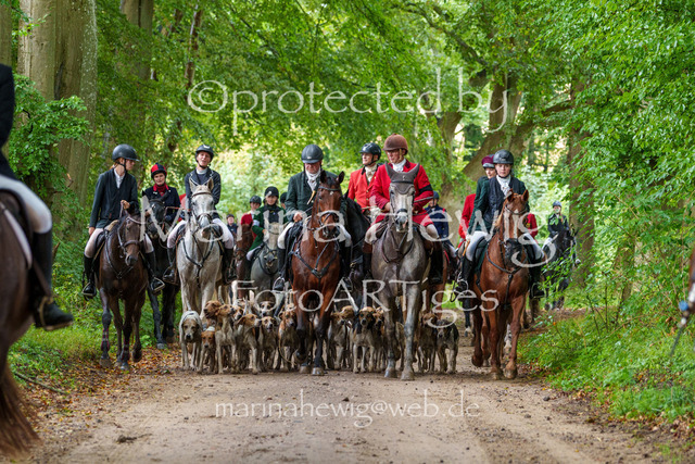 Jagd Perdoel 26 Sony-03886_MarinaHewig | Fotografie, FotoArt, PferdesportArt, Pferdesportfotografie, Landschaftsfotografie, Reisefotografie, Reise, Pferde - Realisiert mit Pictrs.com