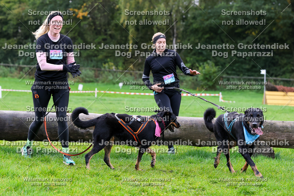 Dog Paparazzi -  SD1026-982 | Dog Paparazzi Jeanette Grottendiek Fotografie & Videografie - Realisiert mit Pictrs.com