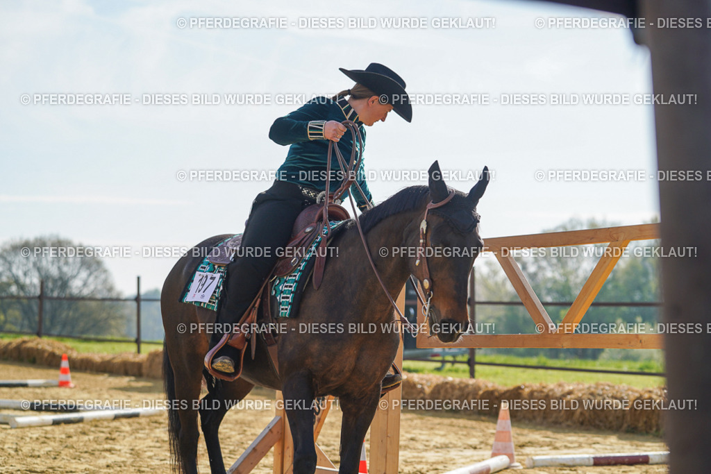 DSC00960 | Pferdegrafie