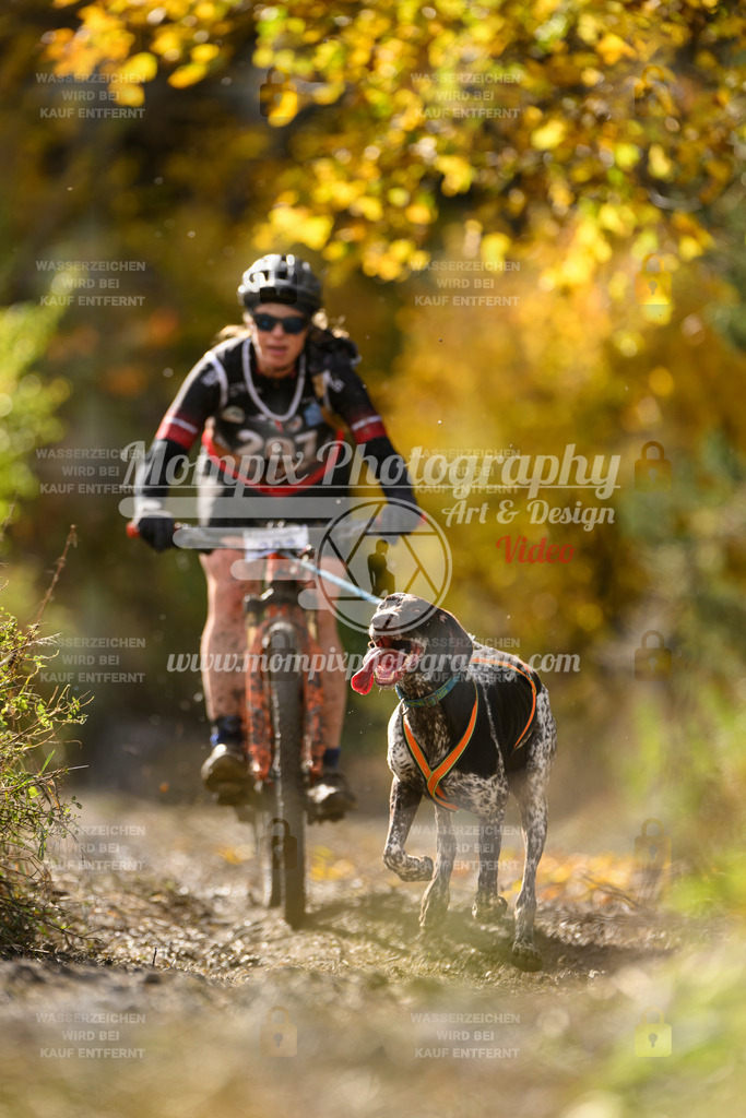 MompixPhotography_ICF_WC_2024_SA_Bike_-332 | PayLife