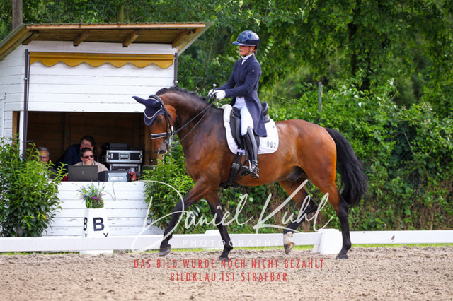 DKP41447 | Deine Turnierfotos vom Reitturnier online kaufen: Dressur, Springen & Siegerehrung. Professionelle Pferdefotografie aus dem Rheinland – als Download & Print.Alternative: Turnierfotograf für den Pferdesport: Finde deine Fotos von Dressur- und Springturnier