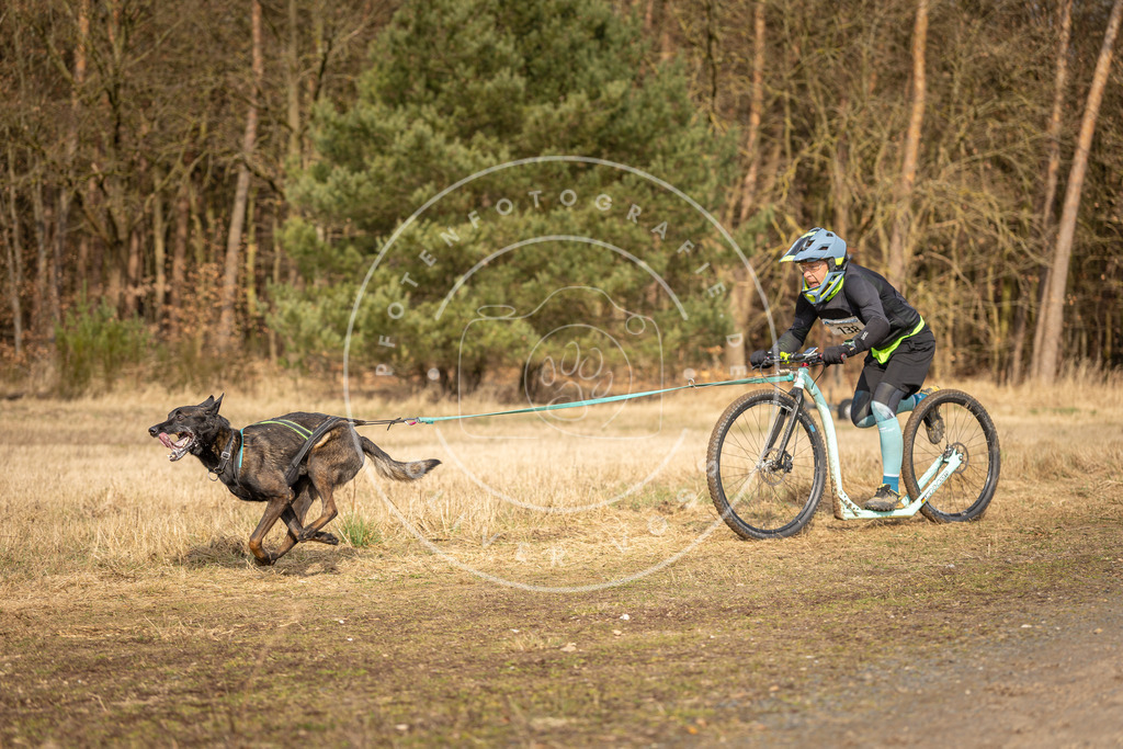 DV3A4722 | Hundefotografie, Tierfotograf, Pfotenfotografie, Fotoshooting Hund, Hunde Portrait, Hundesport, Hundeportraits, Heideshooting, Hunde, Sportfotograf, Hundefotograf, Turnierhundsport, THS,  - Realisiert mit Pictrs.com