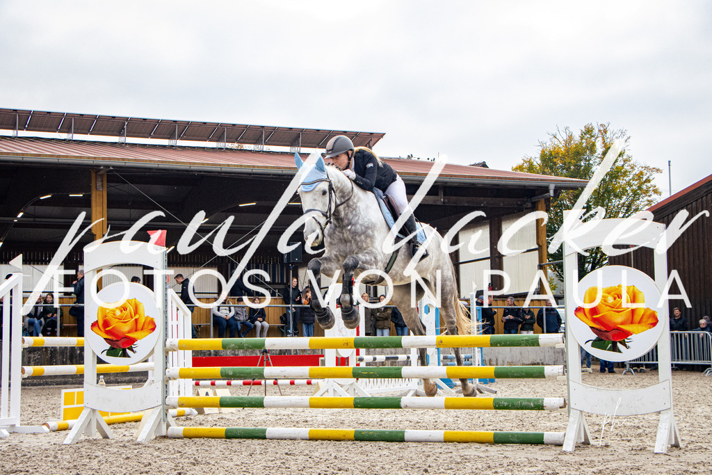 IMG_4315 | Erleben Sie dynamische Sport- und emotionale Tierfotografie in Süddeutschland mit Fotos von Paula. Spezialisiert auf Pferde- und Hundefotografie sowie Sportevents. Kontaktieren Sie mich für einzigartige und ausdrucksstarke Bilder Ihrer besonderen Momente. - Realisiert mit Pictrs.com