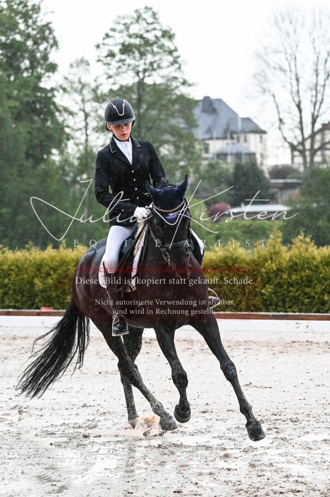 DSC_4751 | Pferde- und Turnierfotografie in Westsachsen. Pferdeportraits, Auftragszeichnungen und intuitive Kunst.