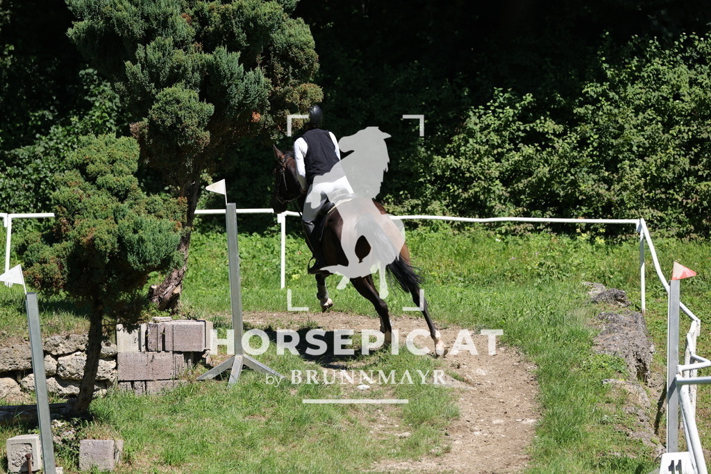 0P6A6566 | Willkommen bei Brunnmayr - Design & Fotografie – Ihrem Spezialisten für Reitturniere und Pferdeveranstaltungen in Oberösterreich, Salzburg und Bayern! Seit über 17 Jahren sind wir leidenschaftlich dabei.