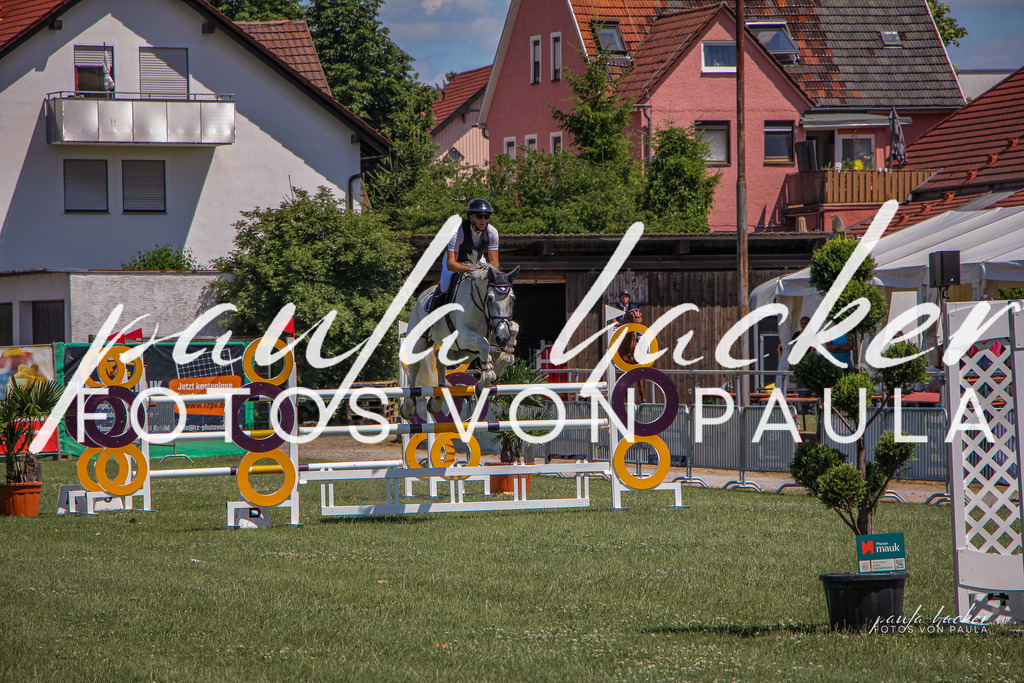 IMG_9546 | Erleben Sie dynamische Sport- und emotionale Tierfotografie in Süddeutschland mit Fotos von Paula. Spezialisiert auf Pferde- und Hundefotografie sowie Sportevents. Kontaktieren Sie mich für einzigartige und ausdrucksstarke Bilder Ihrer besonderen Momente.