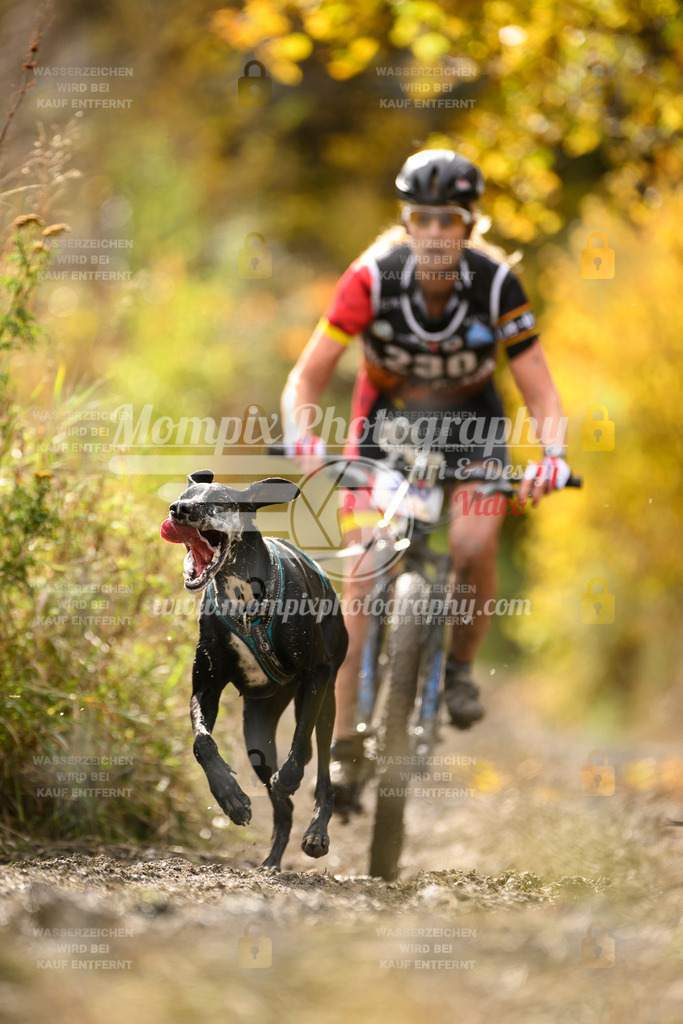 MompixPhotography_ICF_WC_2024_SA_Bike_-387 | PayLife
