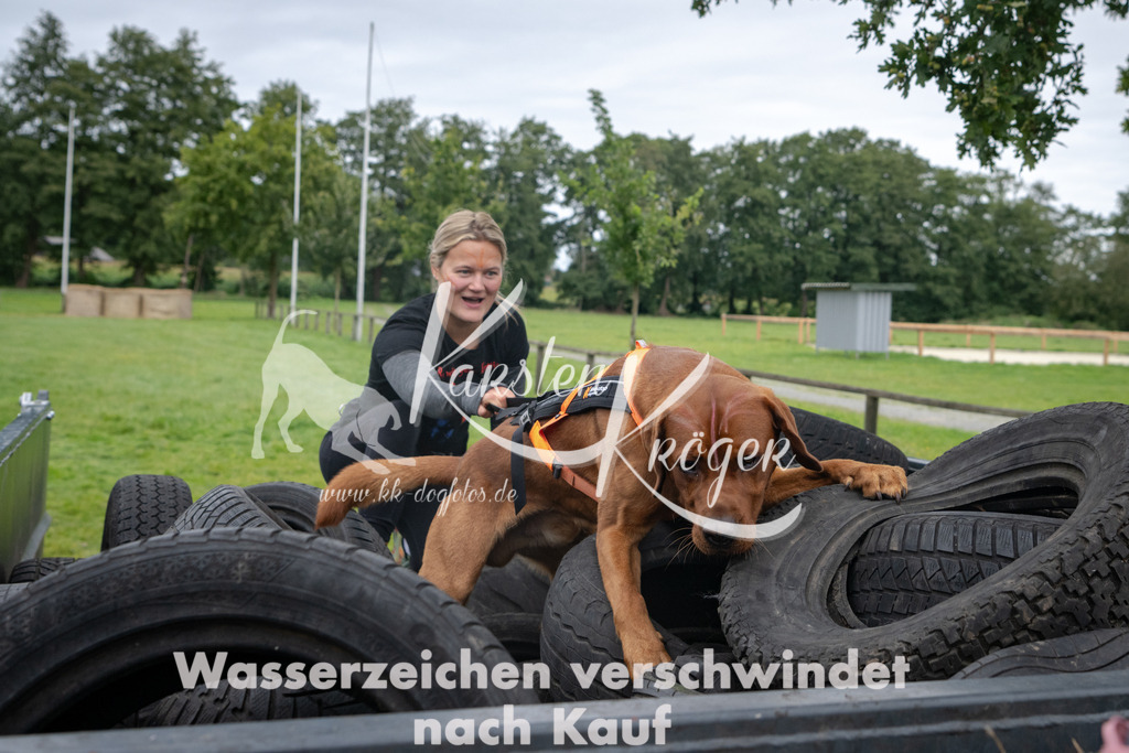 1209_ZZ94568 | kk-dogfotos
