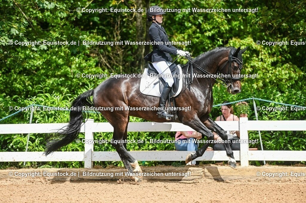 20230716_01_Dressurprüfung Kl.M_0071 | equistock