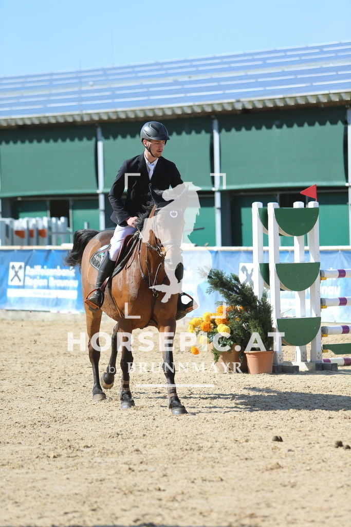 DL2Q1021 | Willkommen bei Brunnmayr - Design & Fotografie – Ihrem Spezialisten für Reitturniere und Pferdeveranstaltungen in Oberösterreich, Salzburg und Bayern! Seit über 17 Jahren sind wir leidenschaftlich dabei.