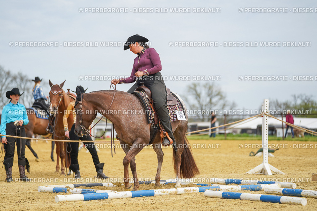 DSC03473 | Pferdegrafie