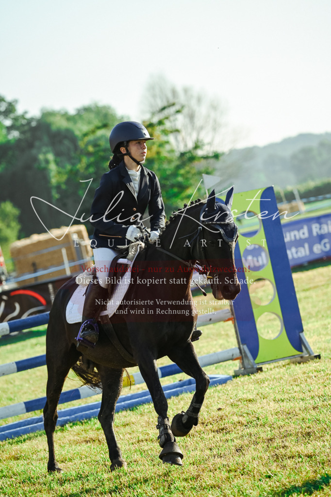 DSC_4080 | Pferde- und Turnierfotografie in Westsachsen. Pferdeportraits, Auftragszeichnungen und intuitive Kunst.
