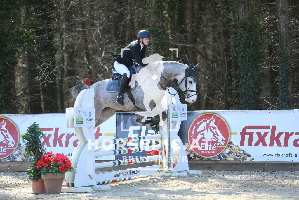 DL2Q2725 | Willkommen bei Brunnmayr - Design & Fotografie – Ihrem Spezialisten für Reitturniere und Pferdeveranstaltungen in Oberösterreich, Salzburg und Bayern! Seit über 17 Jahren sind wir leidenschaftlich dabei.